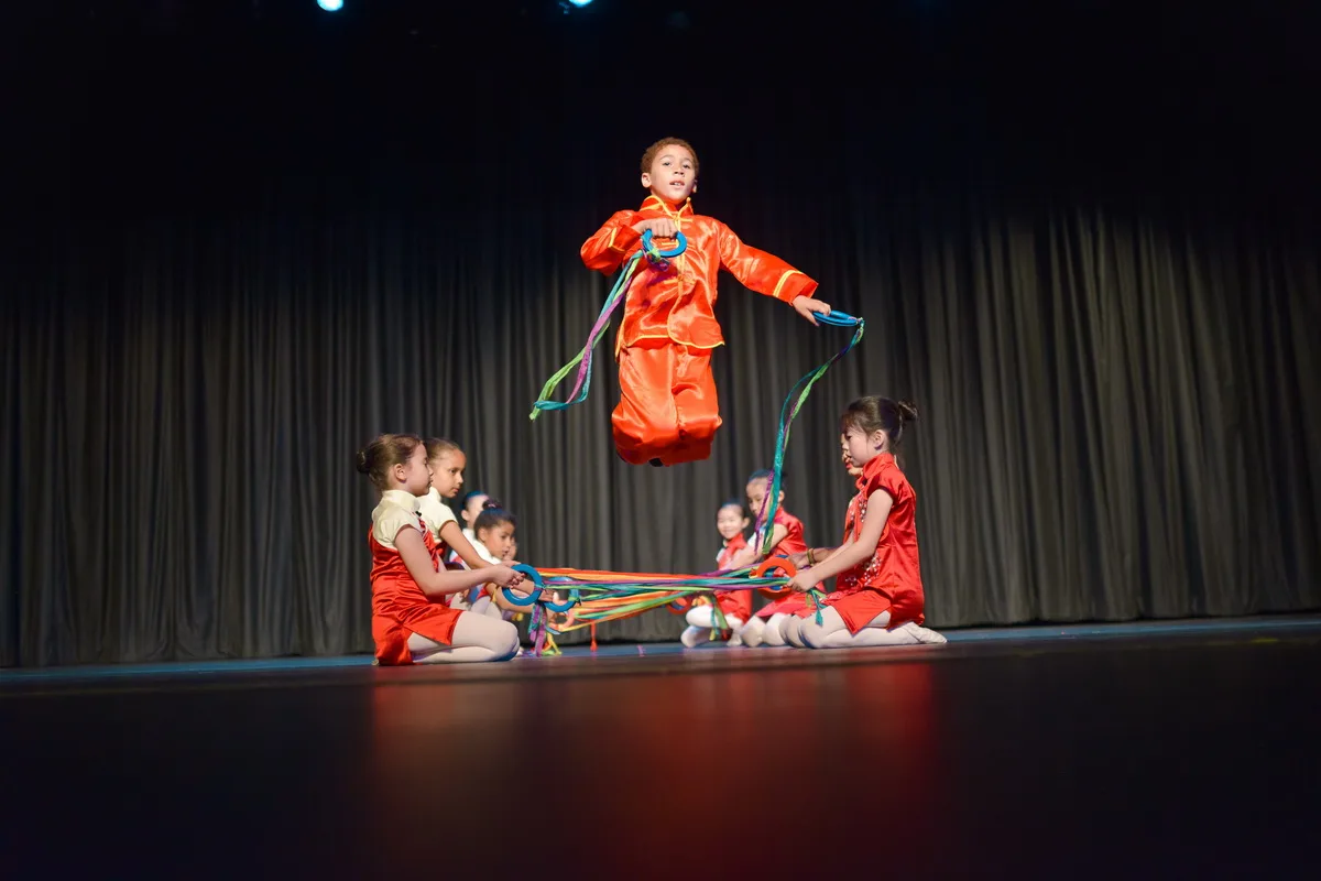 Art of the Dance World Academy