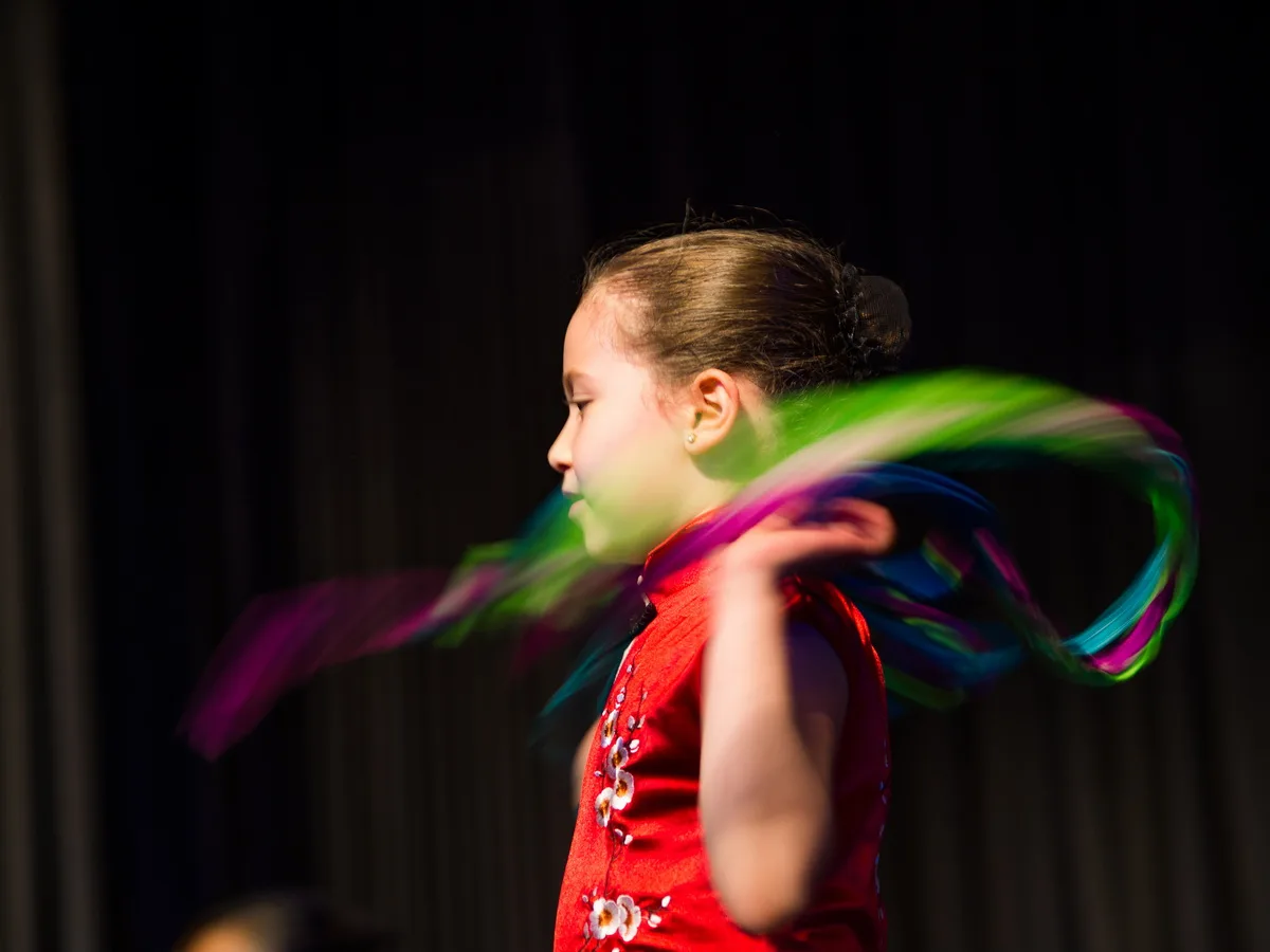 Art of the Dance World Academy