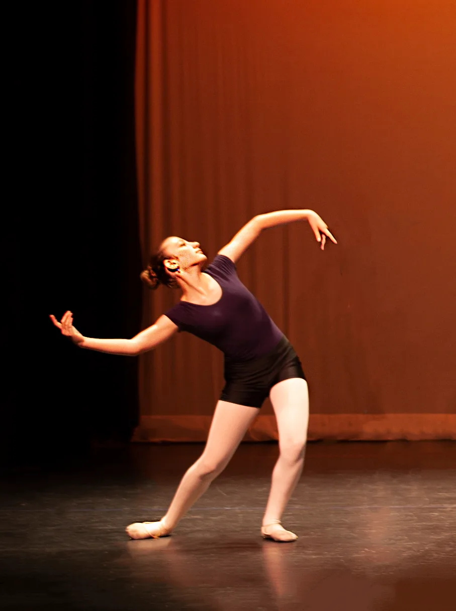 Art of the Dance World Academy