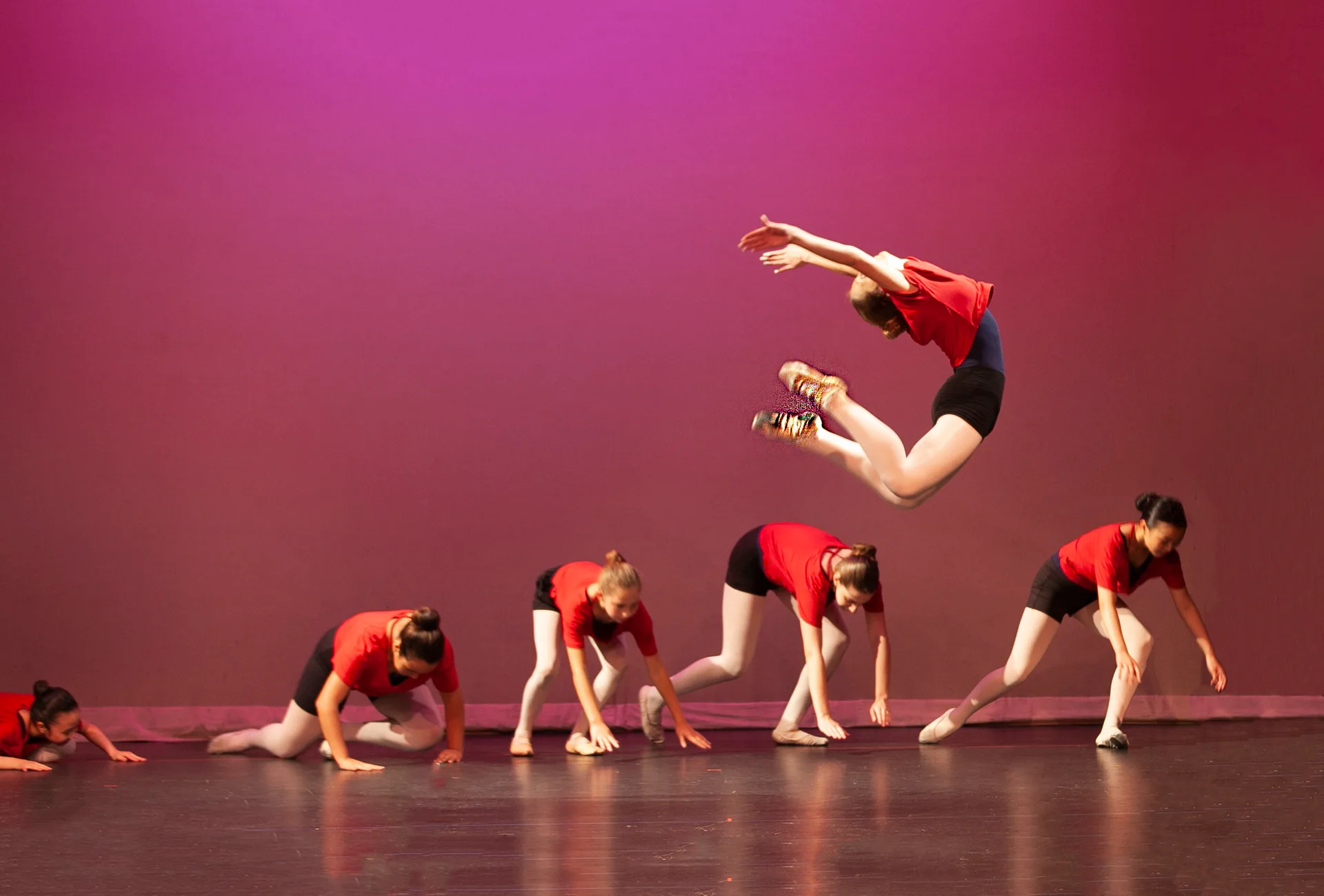 Art of the Dance World Academy