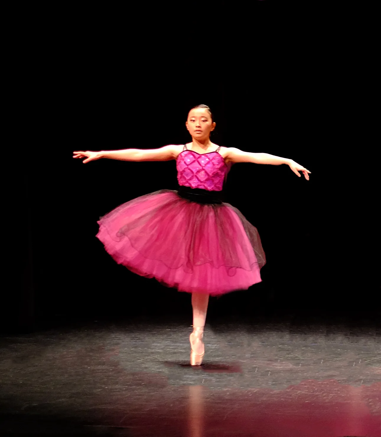 Art of the Dance World Academy